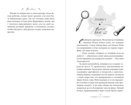 Наследник. Тайна дворцовой книги