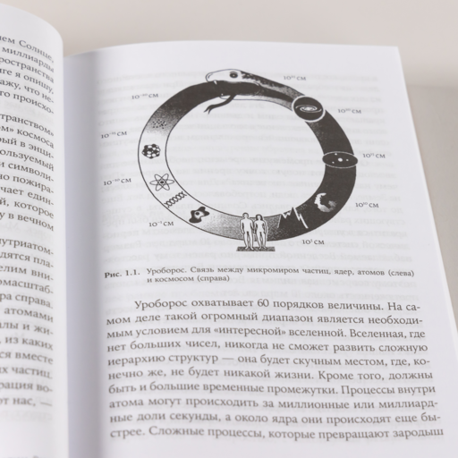 Всего шесть чисел: Главные силы, формирующие Вселенную
