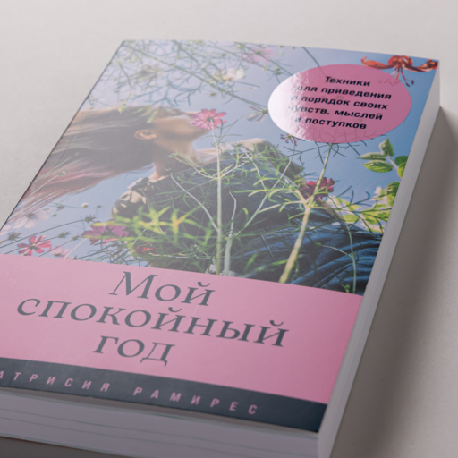 Мой спокойный год: Техники для приведения в порядок своих чувств, мыслей и поступков