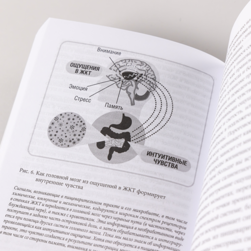 Второй мозг: Как микробы в кишечнике управляют нашим настроением, решениями и здоровьем