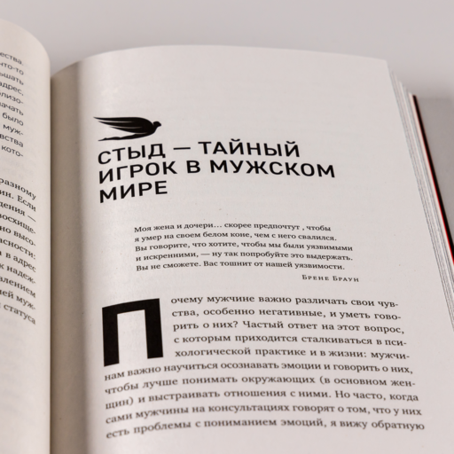 Чего хотят мужчины: Открывая заново отношения, секс, силу