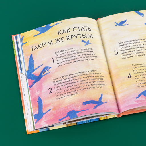 Чему я могу научиться у Николая Дроздова