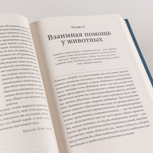 Взаимная помощь: Почему мы эволюционируем, помогая друг другу