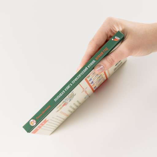 Большая книга приключений Конни. Новый год