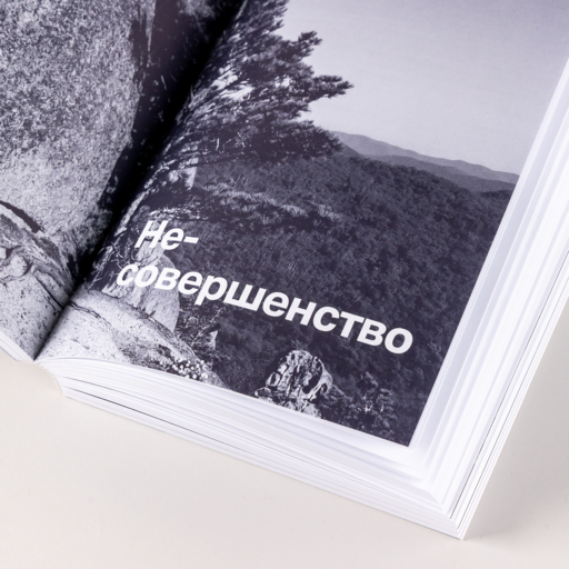 Один на один с жизнью: Книга, которая поможет найти смысл