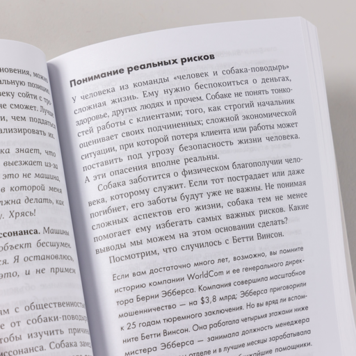 Осознанное неподчинение: Как реагировать на спорные распоряжения