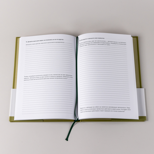Ежедневники Веденеевой. Challenge book: Блокнот для наведения порядка в жизни