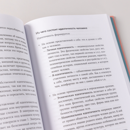 Это переходит все границы: Психология эмиграции. Как адаптироваться к жизни в другой стране