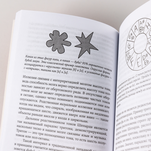 Музыка и мозг: Как музыка влияет на эмоции, здоровье и интеллект