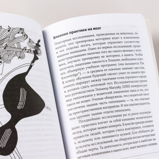 Музыка и мозг: Как музыка влияет на эмоции, здоровье и интеллект