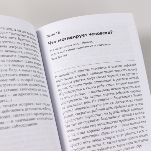 Интервью с самим собой: Индивидуальный ассесмент как инструмент самоанализа руководителя