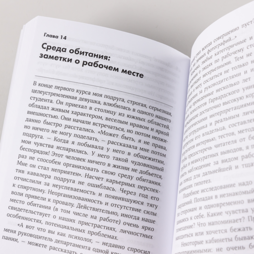 Интервью с самим собой: Индивидуальный ассесмент как инструмент самоанализа руководителя