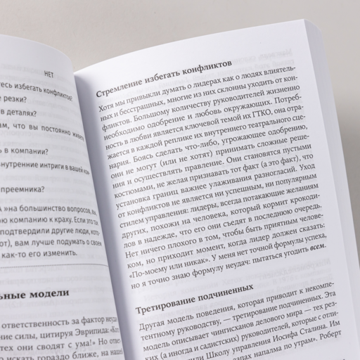 Мистика лидерства. Развитие эмоционального интеллекта