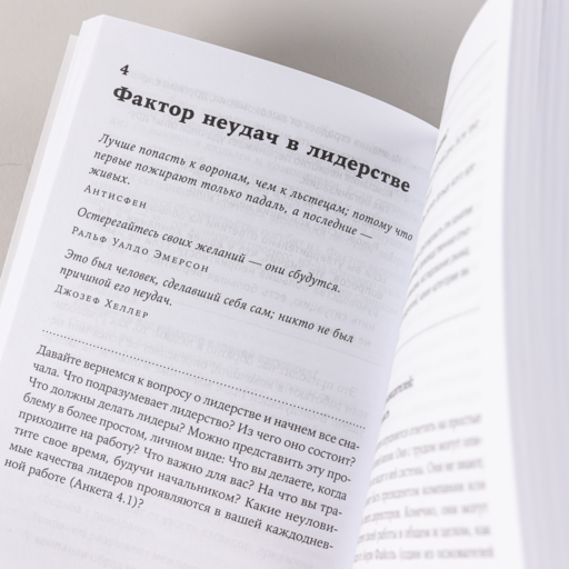 Мистика лидерства. Развитие эмоционального интеллекта