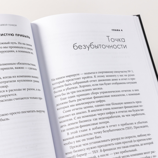 Гонка на миллион. Как выстроить финансовую стратегию, которая приведет ваш бизнес к победе