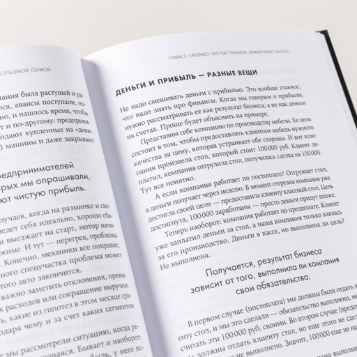 Гонка на миллион. Как выстроить финансовую стратегию, которая приведет ваш бизнес к победе