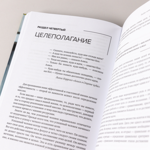 Миссия выполнима. Технология счастливой жизни