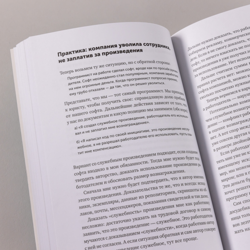 Своровали? Накажи! Книга о защите интеллектуальных прав