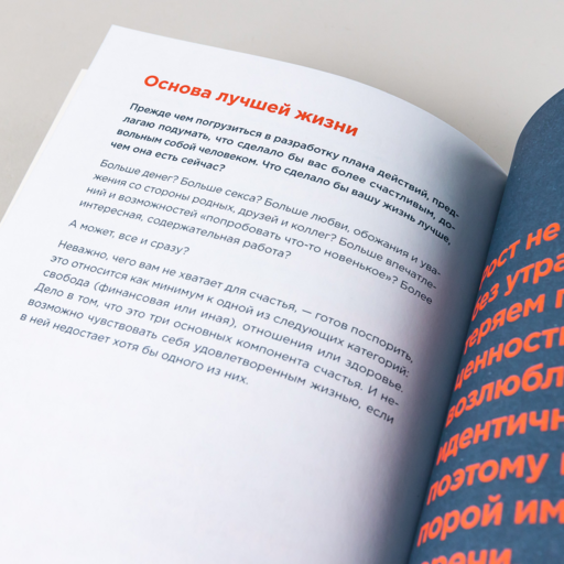 Дневник пофигиста: Тонкое искусство пофигизма на практике