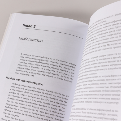 Коактивный коучинг: Проверенные принципы личностного и профессионального роста