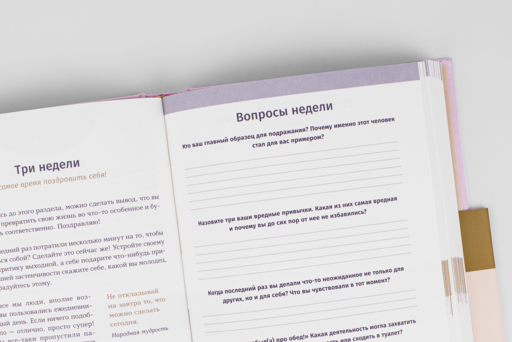 6 минут. Ежедневник, который изменит вашу жизнь (пудра)
