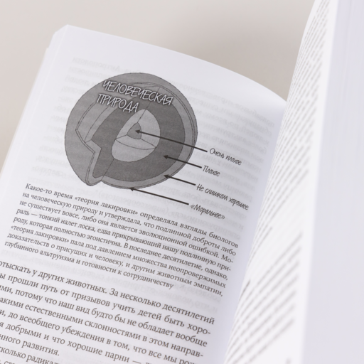 Истоки морали. В поисках человеческого у приматов