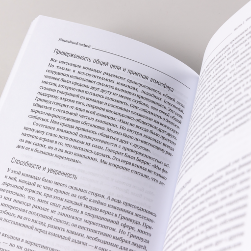 Командный подход: Создание высокоэффективной организации