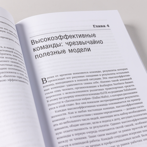 Командный подход: Создание высокоэффективной организации