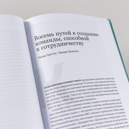 Управление командой