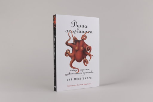 Душа осьминога: Тайны сознания удивительного существа