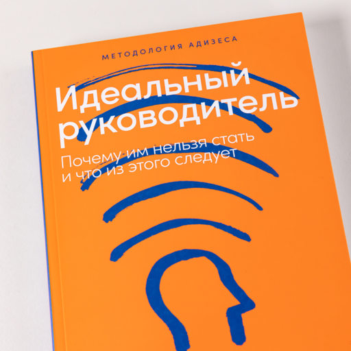 Идеальный руководитель: Почему им нельзя стать и что из этого следует