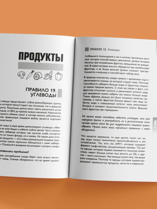 Что и когда есть. Как найти золотую середину между голодом и перееданием
