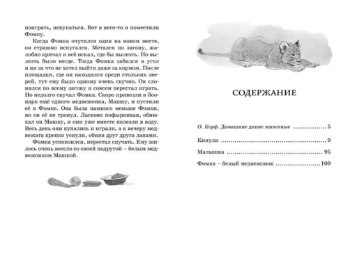Фомка - белый медвежонок