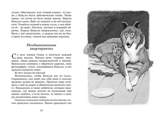 Фомка - белый медвежонок