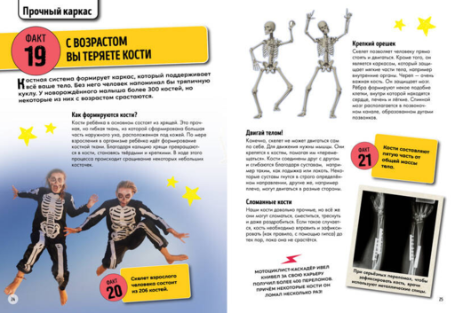 Всё о теле человека