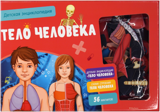 İnsan Vücudu. Mıknatıslı Etkileşimli Çocuk Ansiklopedisi (yeni baskı) (kutuda)