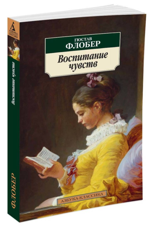 Воспитание чувств (нов/обл.)