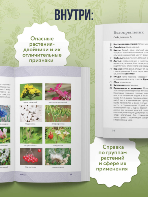 Лечебные травы. Иллюстрированный справочник-определитель