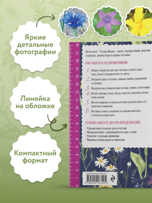 Лечебные травы. Иллюстрированный справочник-определитель