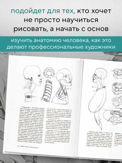 МОРФО. Скелет и мышцы человека. Анатомия для художников