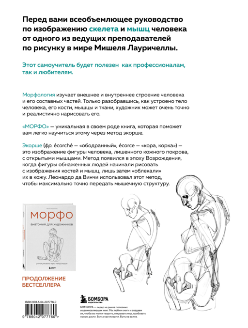 МОРФО. Скелет и мышцы человека. Анатомия для художников