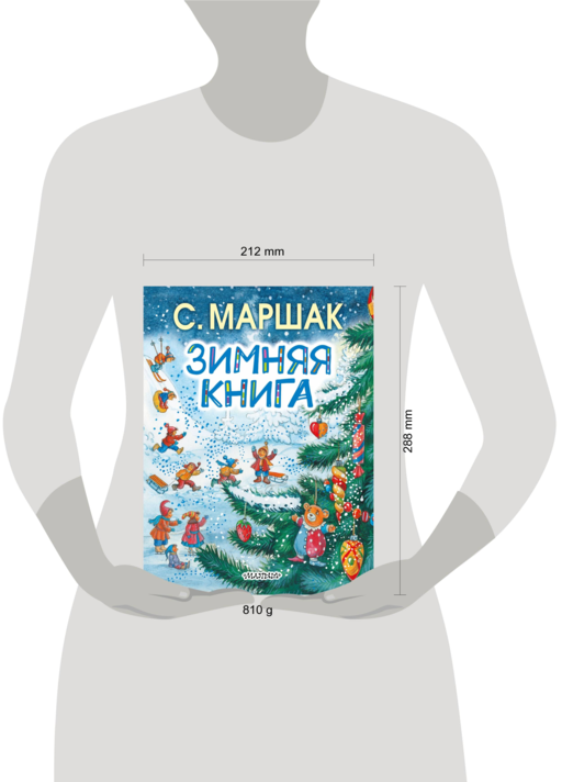 Зимняя книга