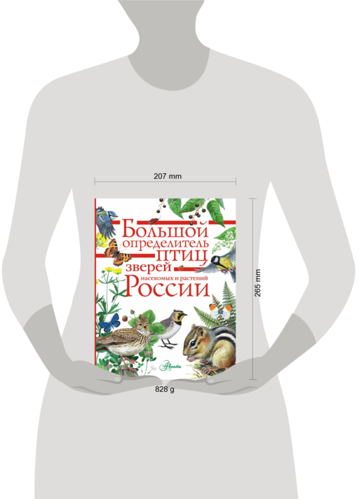 Большой определитель птиц, зверей, насекомых и растений России