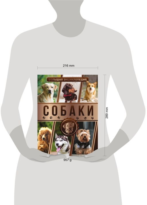 Большая энциклопедия. Собаки