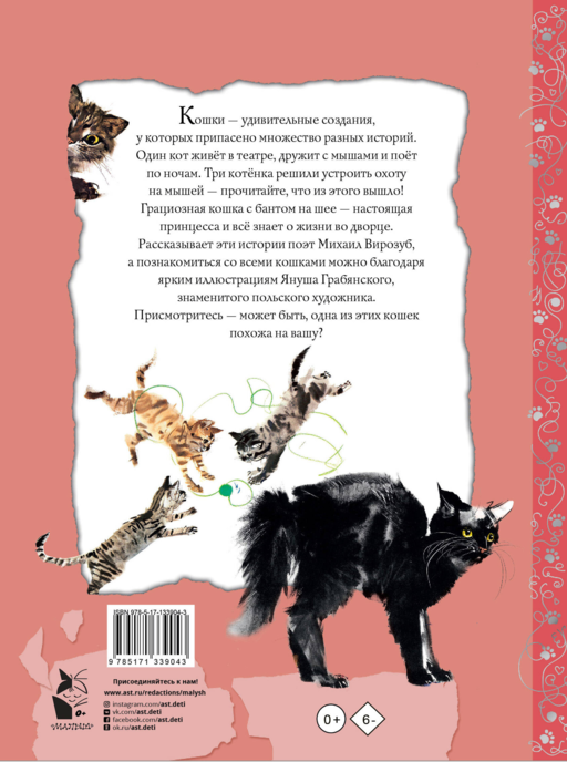 Удивительные кошачьи истории
