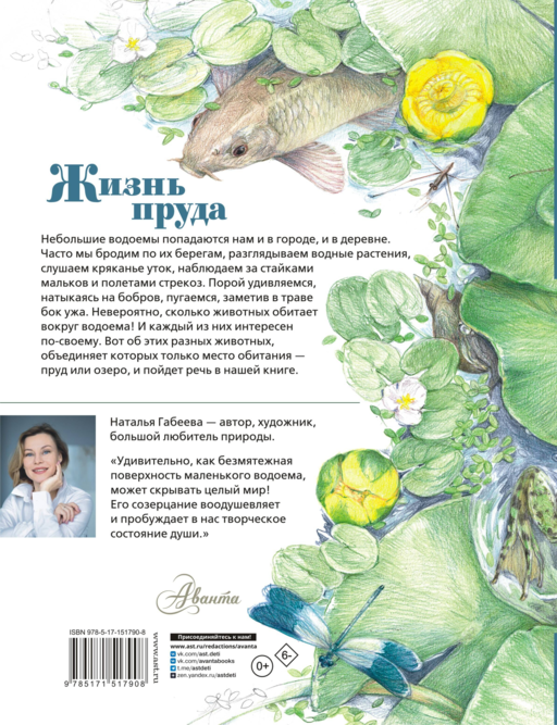 Жизнь пруда