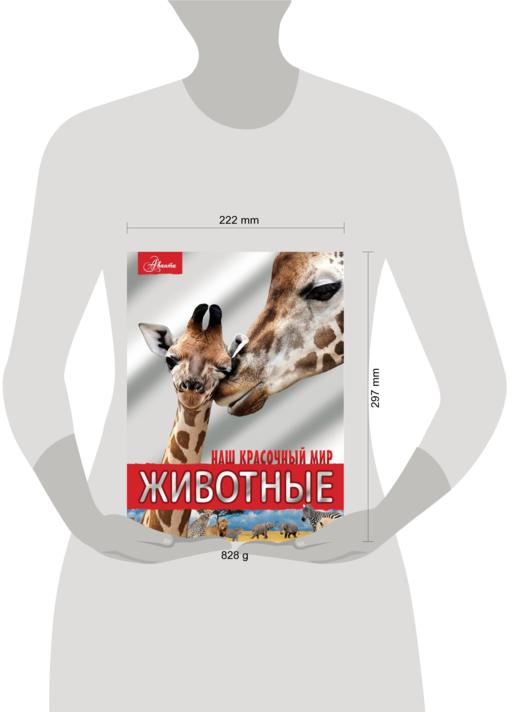 Животные