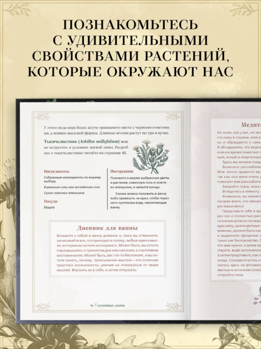 Травы. Магические запасы. Иллюстрированное руководство по сбору и заготовке волшебных растений, их полезным свойствам и сезонным ритуалам
