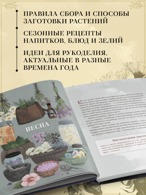 Травы. Магические запасы. Иллюстрированное руководство по сбору и заготовке волшебных растений, их полезным свойствам и сезонным ритуалам
