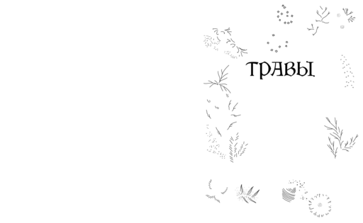 Травы. Магические запасы. Иллюстрированное руководство по сбору и заготовке волшебных растений, их полезным свойствам и сезонным ритуалам
